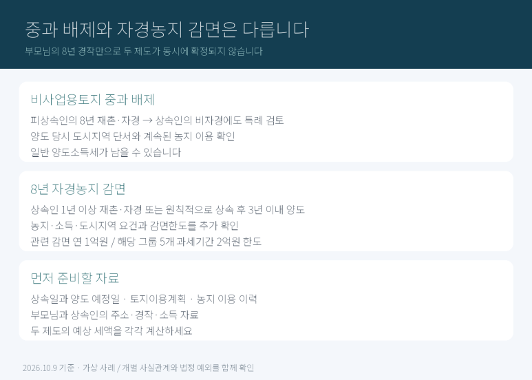 본문 설명 이미지