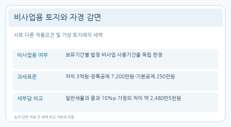 본문 설명 이미지
